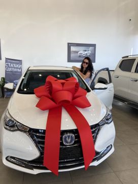 Changan Alsvin
