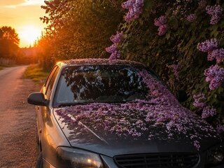 Hyundai Accent ТагАЗ