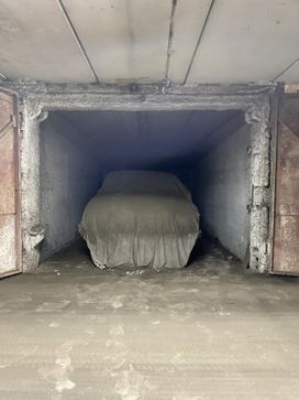 GAZ 31029 Volga