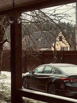 Acura Tlx